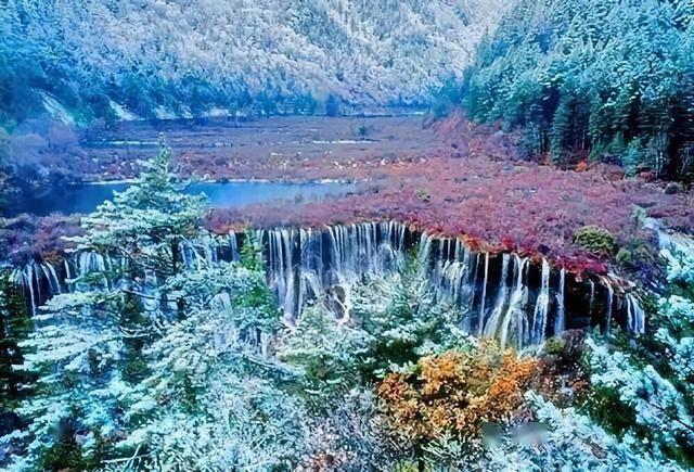 世界上再生能力最强的生物是什么？游戏画面